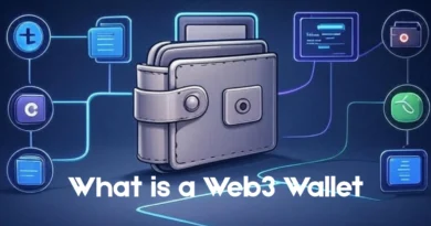 What is a Web3 Wallet