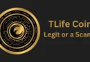 TLife Coin Review 2025 Is TLIFE Legit or a Scam