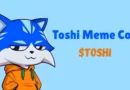 Toshi Meme Coin