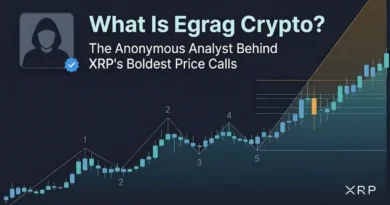 What Is Egrag Crypto?